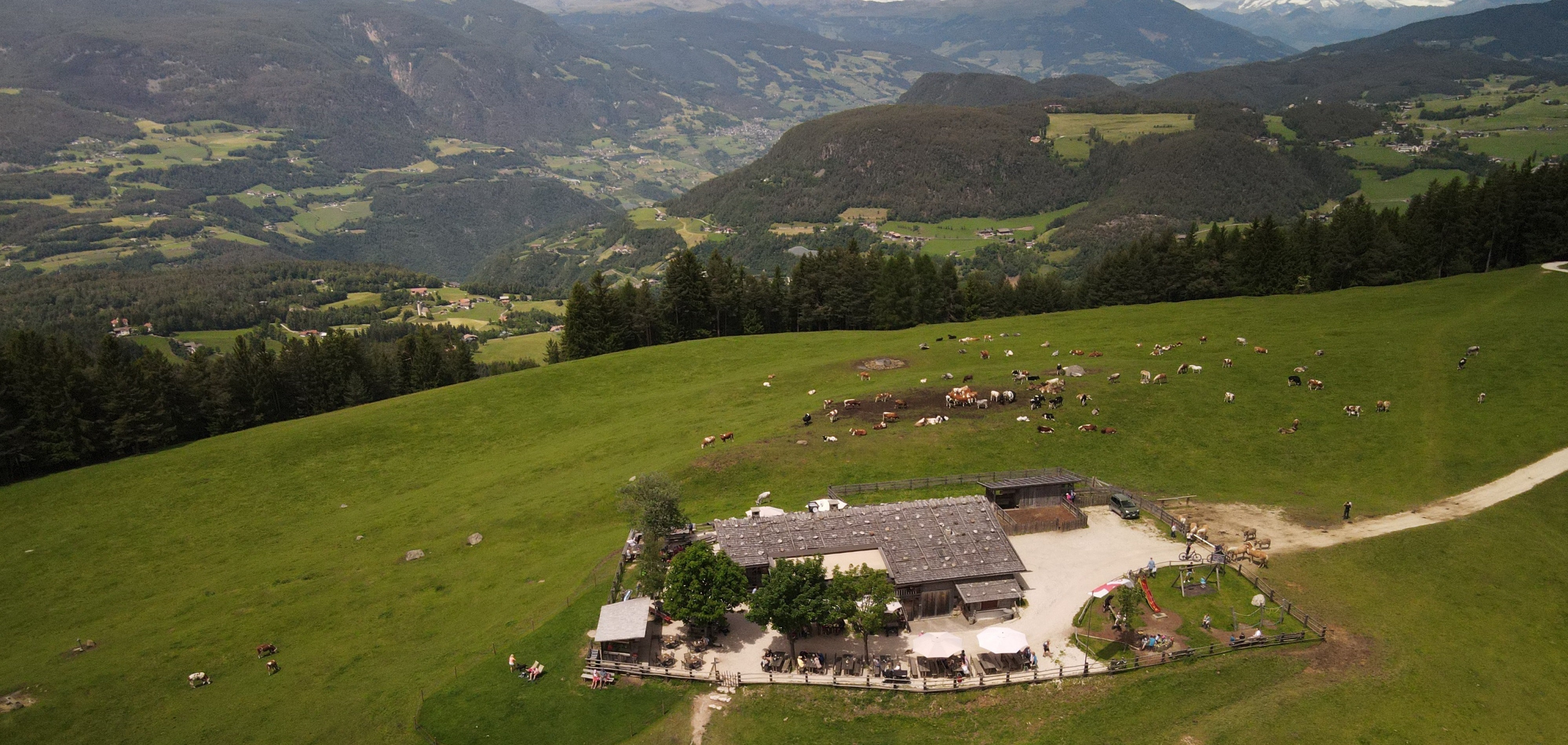 Exploring a mountain meadow in South Tyrol from above